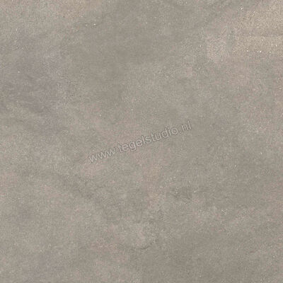  Ragno Stratford Grey 60x60 cm Vloertegel / Wandtegel Mat Vlak Naturale R8WL | 384547