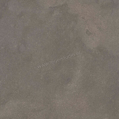  Ragno Stratford Dark Grey 60x60 cm Vloertegel / Wandtegel Mat Vlak Naturale R8WM | 384556
