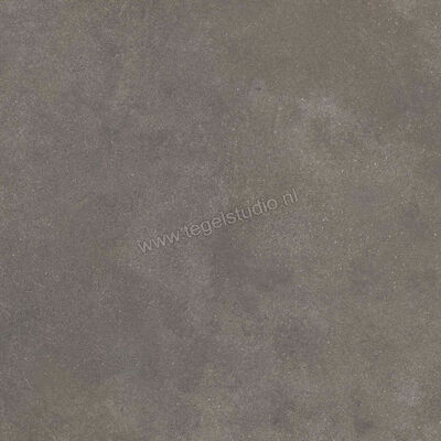  Ragno Stratford Dark Grey 60x60 cm Vloertegel / Wandtegel Mat Vlak Naturale R8WM | 384559
