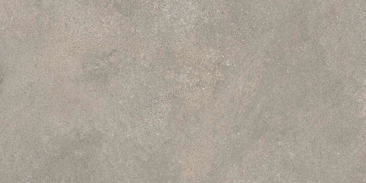  Ragno Stratford Grey 30x60 cm Vloertegel / Wandtegel Mat Vlak Naturale R8WS | 384646