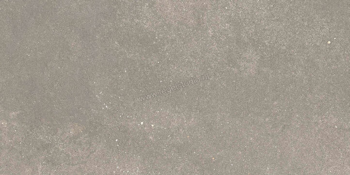  Ragno Stratford Grey 30x60 cm Vloertegel / Wandtegel Mat Vlak Naturale R8WS | 384649