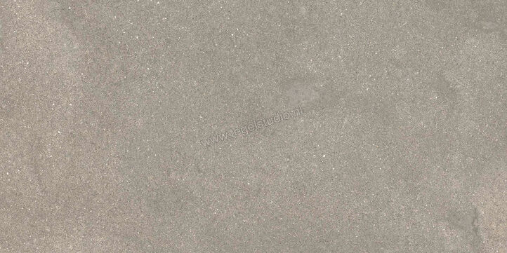  Ragno Stratford Grey 30x60 cm Vloertegel / Wandtegel Mat Vlak Naturale R8WS | 384652