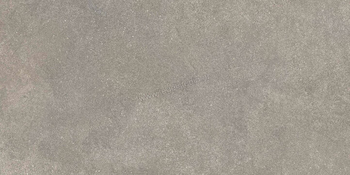  Ragno Stratford Grey 30x60 cm Vloertegel / Wandtegel Mat Vlak Naturale R8WS | 384655