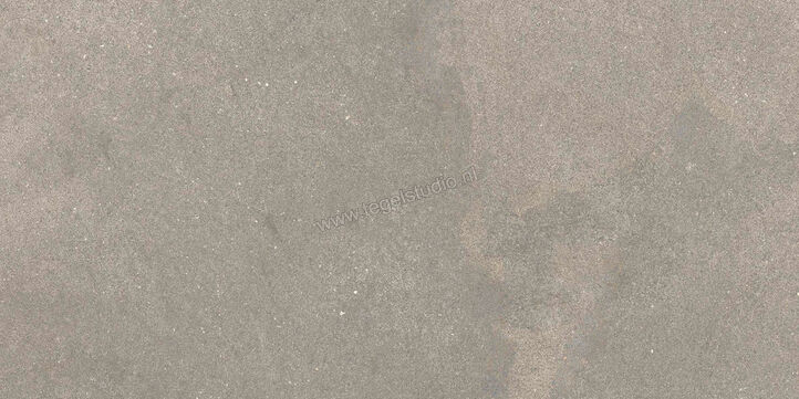  Ragno Stratford Grey 30x60 cm Vloertegel / Wandtegel Mat Vlak Naturale R8WS | 384658