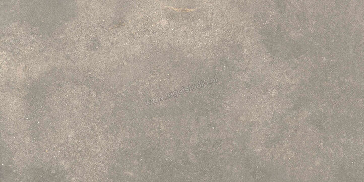 Ragno Stratford Grey 30x60 cm Vloertegel / Wandtegel Mat Vlak Naturale R8WS | 384661