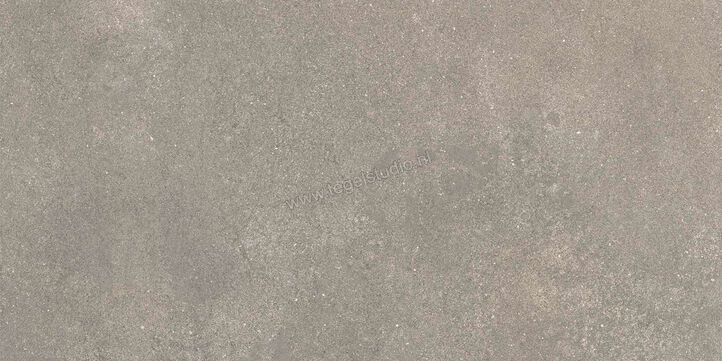  Ragno Stratford Grey 30x60 cm Vloertegel / Wandtegel Mat Vlak Naturale R8WS | 384664