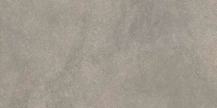 Ragno Stratford Grey 30x60 cm Vloertegel / Wandtegel Mat Vlak Naturale R8WS | 384667