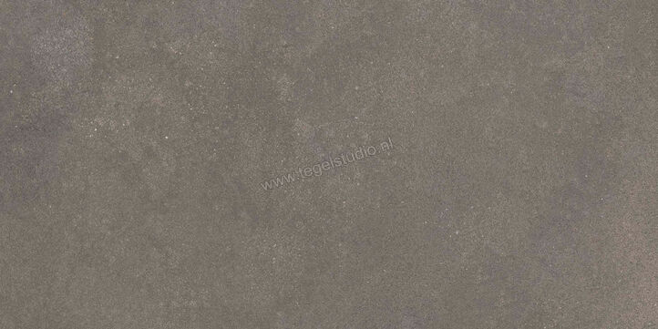  Ragno Stratford Dark Grey 30x60 cm Vloertegel / Wandtegel Mat Vlak Naturale R8WT | 384670