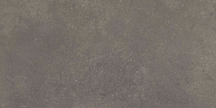  Ragno Stratford Dark Grey 30x60 cm Vloertegel / Wandtegel Mat Vlak Naturale R8WT | 384673