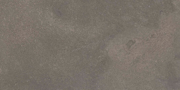  Ragno Stratford Dark Grey 30x60 cm Vloertegel / Wandtegel Mat Vlak Naturale R8WT | 384676