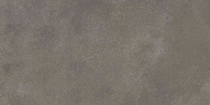  Ragno Stratford Dark Grey 30x60 cm Vloertegel / Wandtegel Mat Vlak Naturale R8WT | 384679