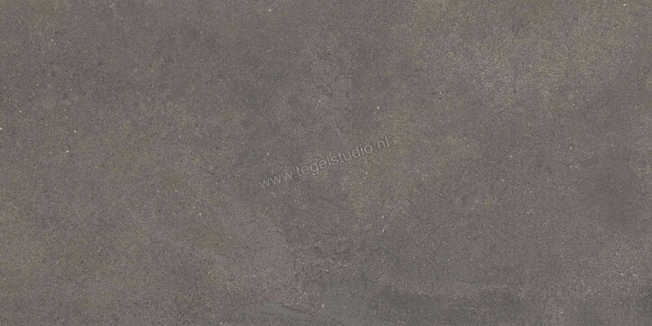  Ragno Stratford Dark Grey 30x60 cm Vloertegel / Wandtegel Mat Vlak Naturale R8WT | 384682