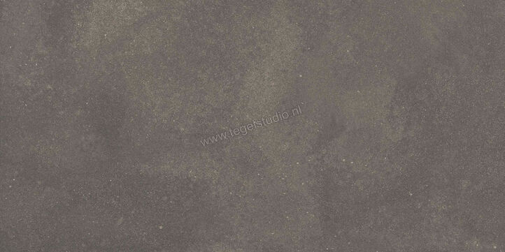  Ragno Stratford Dark Grey 30x60 cm Vloertegel / Wandtegel Mat Vlak Naturale R8WT | 384685