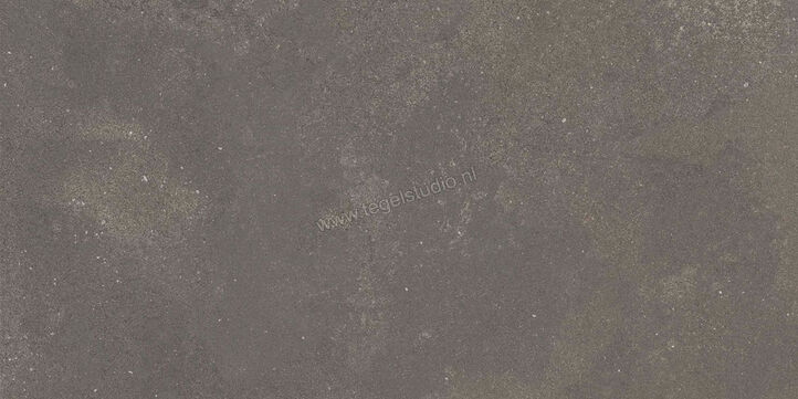  Ragno Stratford Dark Grey 30x60 cm Vloertegel / Wandtegel Mat Vlak Naturale R8WT | 384688