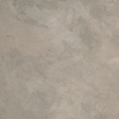  Ragno Stratford Grey 120x120 cm Vloertegel / Wandtegel Mat Vlak Naturale R8XC | 384772