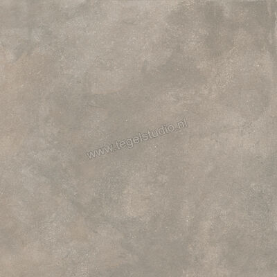  Ragno Stratford Grey 120x120 cm Vloertegel / Wandtegel Mat Vlak Naturale R8XC | 384775