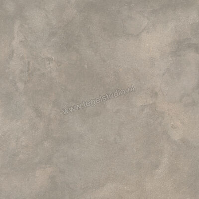  Ragno Stratford Grey 120x120 cm Vloertegel / Wandtegel Mat Vlak Naturale R8XC | 384778
