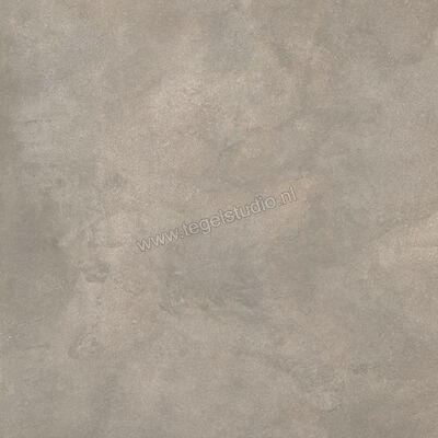  Ragno Stratford Grey 120x120 cm Vloertegel / Wandtegel Mat Vlak Naturale R8XC | 384793