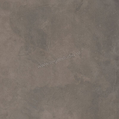  Ragno Stratford Dark Grey 120x120 cm Vloertegel / Wandtegel Mat Vlak Naturale R8XD | 384808