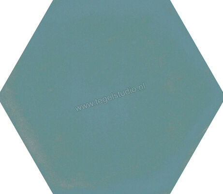  Ragno Stratford Green 18.2x21 cm Vloertegel / Wandtegel Esagona Mat Vlak Naturale R8YJ | 385057