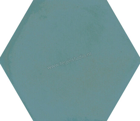 Ragno Stratford Green 18.2x21 cm Vloertegel / Wandtegel Esagona Mat Vlak Naturale R8YJ | 385075