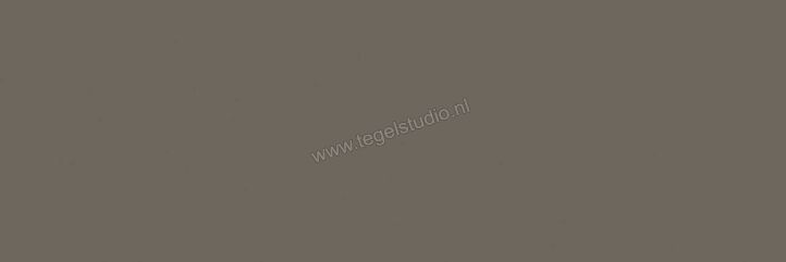  Ragno Tempera Fango 30x90 cm Wandtegel Mat Vlak Naturale R6ZN | 385771