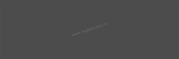  Ragno Tempera Antracite 30x90 cm Wandtegel Mat Vlak Naturale R6ZS | 385792
