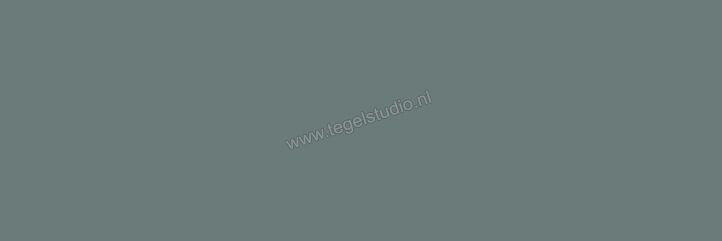  Ragno Tempera Verde 30x90 cm Wandtegel Mat Vlak Naturale R6ZT | 385798