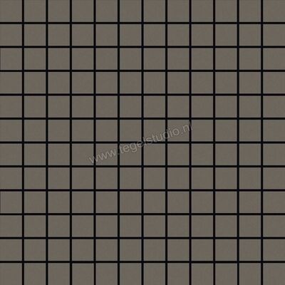  Ragno Tempera Fango 30x30 cm Mozaiek Mat Vlak Naturale R70M | 385849
