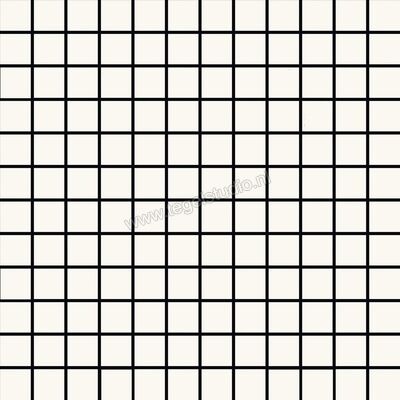  Ragno Tempera Bianco 30x30 cm Mozaiek Mat Vlak Naturale R70T | 385855