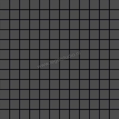  Ragno Tempera Antracite 30x30 cm Mozaiek Mat Vlak Naturale R70U | 385858