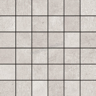  Ragno Studio Grigio 30x30 cm Mozaiek 5x5 Mat Vlak Naturale R4RA | 385978