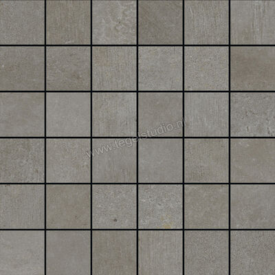  Ragno Studio Antracite 30x30 cm Mozaiek 5x5 Mat Vlak Naturale R4RC | 385981