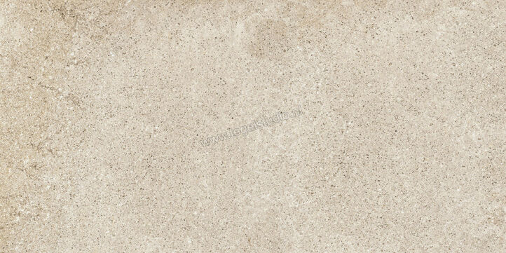  Ragno Stoneway_Porfido Ivory 30x60 cm Vloertegel / Wandtegel Mat Gestructureerd Naturale R46Y | 386026