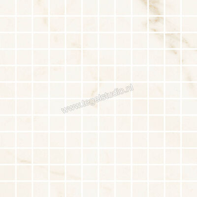  Ragno Imperiale Avorio 30x30 cm Mozaiek Glanzend Vlak Glossy R75N | 387337