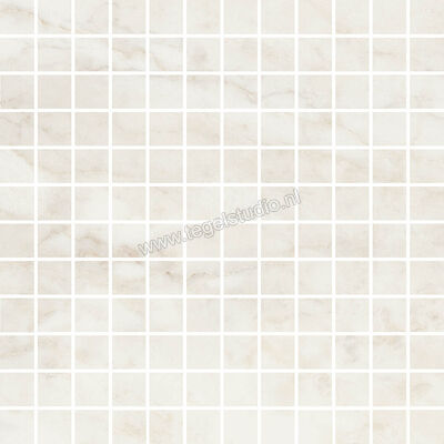  Ragno Imperiale Calacatta 30x30 cm Mozaiek Glanzend Vlak Glossy R75M | 387340