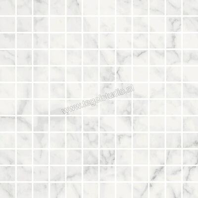  Ragno Imperiale Statuarietto 30x30 cm Mozaiek Glanzend Vlak Glossy R75L | 387343