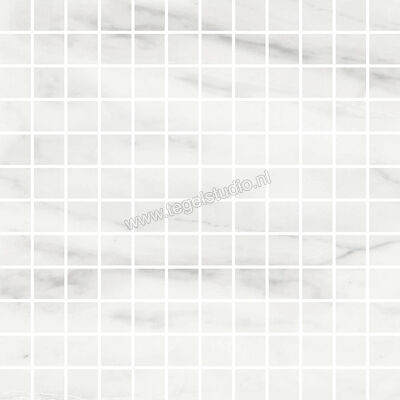  Ragno Imperiale Bianco 30x30 cm Mozaiek Glanzend Vlak Glossy R75K | 387346