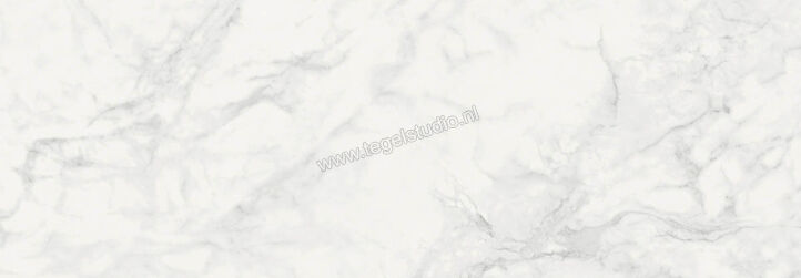  Ragno Imperiale Statuarietto 30x90 cm Wandtegel Glanzend Vlak Glossy R74E | 387778