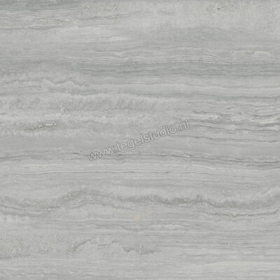  Ragno Imperiale Travertino Grigio 60x60 cm Vloertegel / Wandtegel Mat Vlak Naturale R73F | 387874