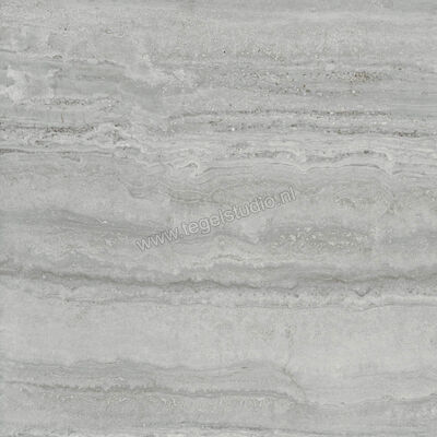  Ragno Imperiale Travertino Grigio 60x60 cm Vloertegel / Wandtegel Mat Vlak Naturale R73F | 387892