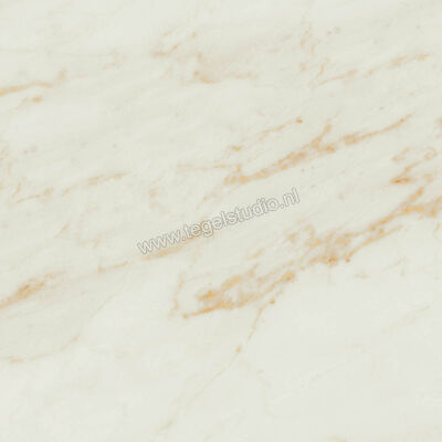  Ragno Imperiale Avorio 60x60 cm Vloertegel / Wandtegel Mat Vlak Naturale R73D | 387940