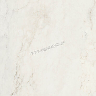  Ragno Imperiale Calacatta 60x60 cm Vloertegel / Wandtegel Mat Vlak Naturale R73C | 387952