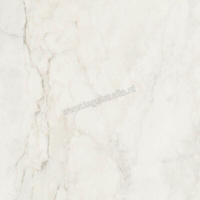  Ragno Imperiale Calacatta 60x60 cm Vloertegel / Wandtegel Mat Vlak Naturale R73C | 387955