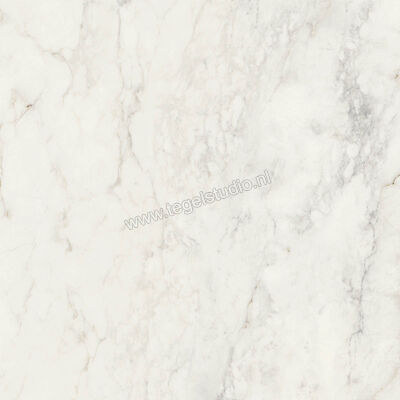  Ragno Imperiale Calacatta 60x60 cm Vloertegel / Wandtegel Mat Vlak Naturale R73C | 387958