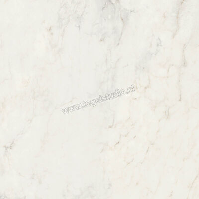  Ragno Imperiale Calacatta 60x60 cm Vloertegel / Wandtegel Mat Vlak Naturale R73C | 387961