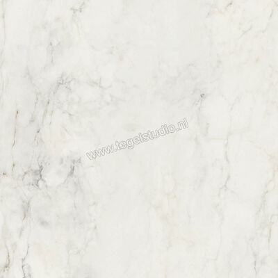  Ragno Imperiale Calacatta 60x60 cm Vloertegel / Wandtegel Mat Vlak Naturale R73C | 387964