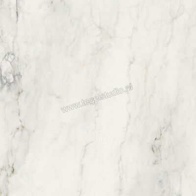  Ragno Imperiale Calacatta 60x60 cm Vloertegel / Wandtegel Mat Vlak Naturale R73C | 387967