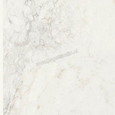  Ragno Imperiale Calacatta 60x60 cm Vloertegel / Wandtegel Mat Vlak Naturale R73C | 387973