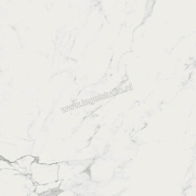  Ragno Imperiale Statuarietto 60x60 cm Vloertegel / Wandtegel Mat Vlak Naturale R73A | 387979
